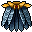 calopteryx cape