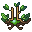 leaf crown